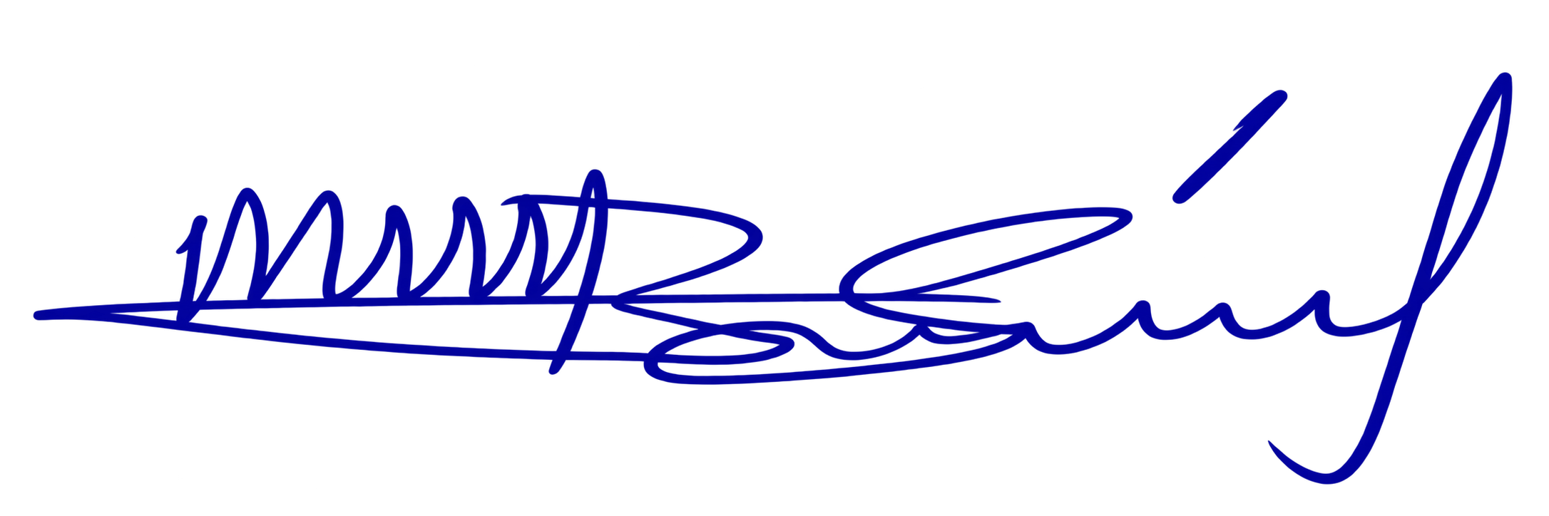Handwritten signature of Buhari Saidu